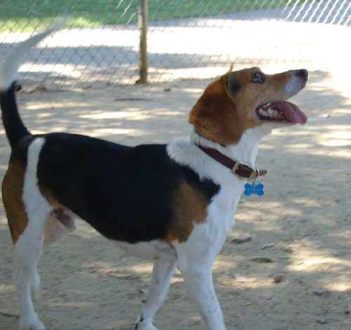 Toby going to NY party