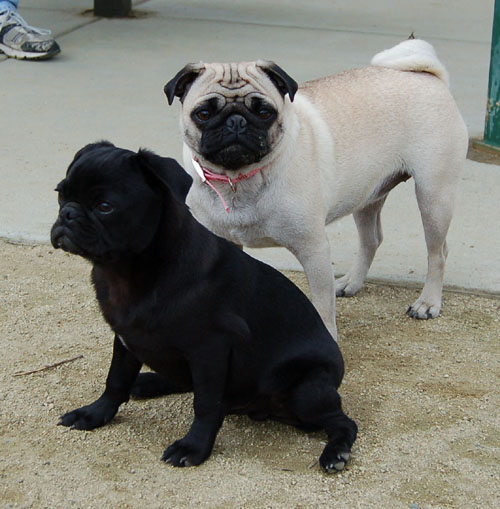 Rio Bravo gets Hugged