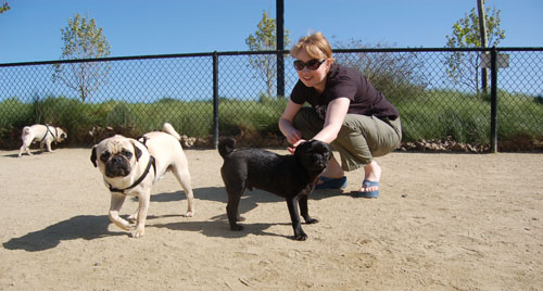Mountain View Dog Park - April 30, 2006