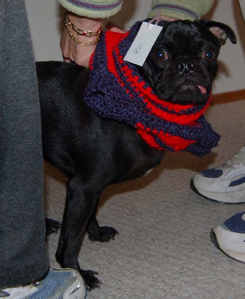 Happy Fun Clothes for Rio and Sheba