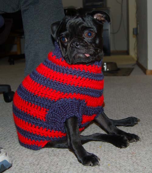 Happy Fun Clothes for Rio and Sheba