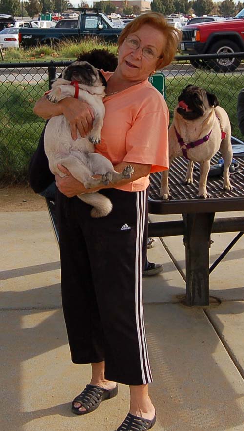 Pugs Pugs Pugs Mountain View Dog Park Fun October 22, 2005
