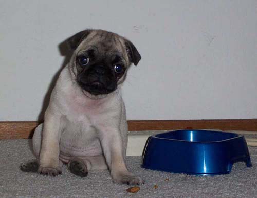 Happy Birthday to ME!!!