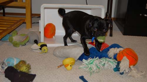 Rio in a Box with Toys