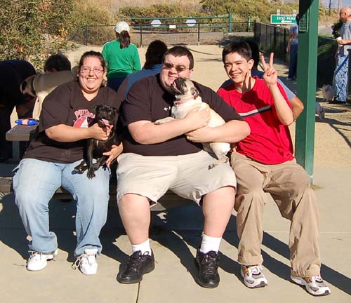 Pugs Pugs Pugs Mountain View Dog Park Fun October 8, 2005