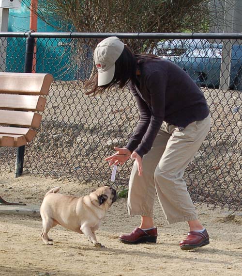 Mountain View Dog Park - March 4, 2007