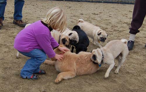 Mountain View Dog Park - February 25, 2007