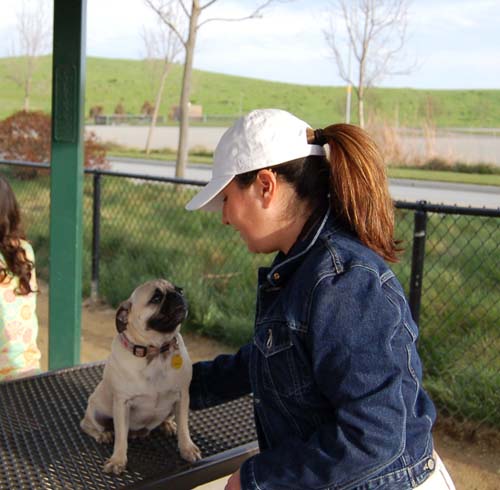 Mountain View Dog Park - March 4, 2007