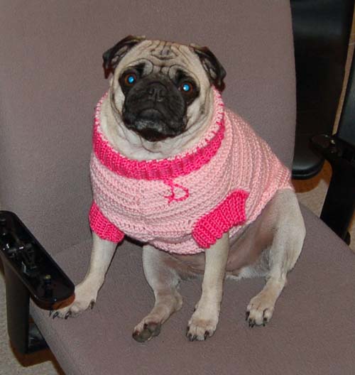 Happy Valentine's Day