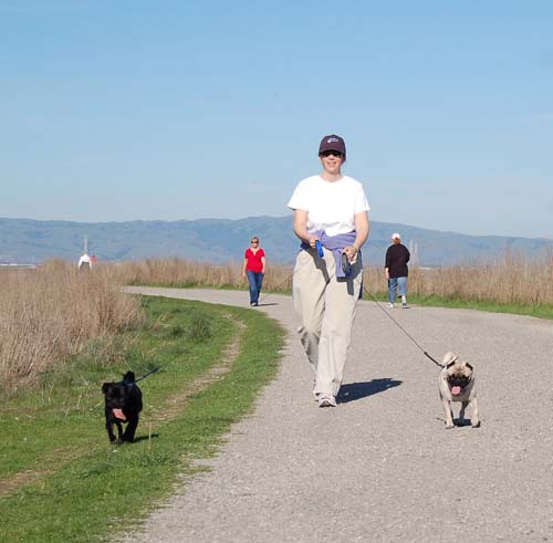 San Francisco Bay Walk of Fun