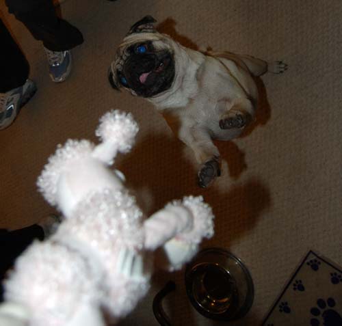 Merry Christmas Pugs