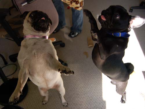 Happy Birthday to ME!!!