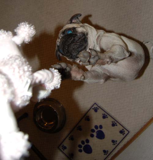 Merry Christmas Pugs