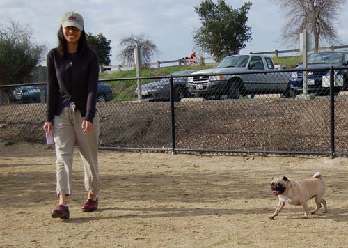 Mountain View Dog Park - March 4, 2007