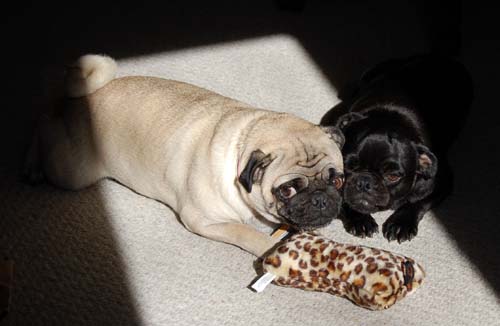 Happy Birthday to ME!!!