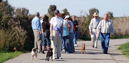 San Francisco Bay Walk of Fun