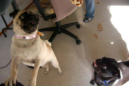 Happy Birthday to ME!!!