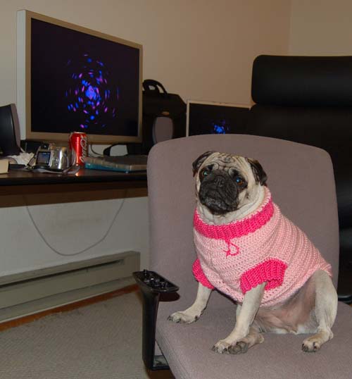 Happy Valentine's Day