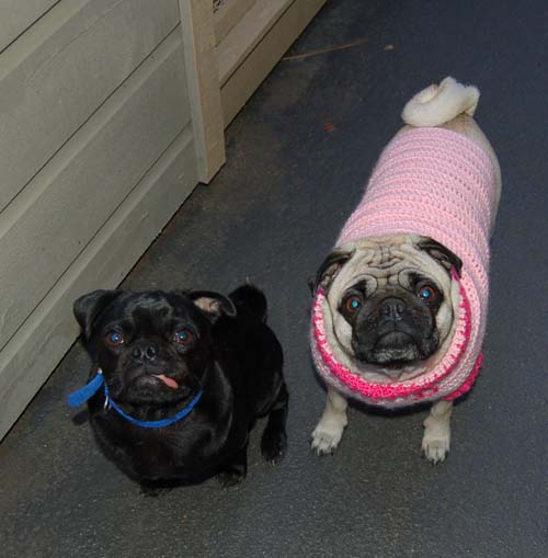 Happy Valentine's Day