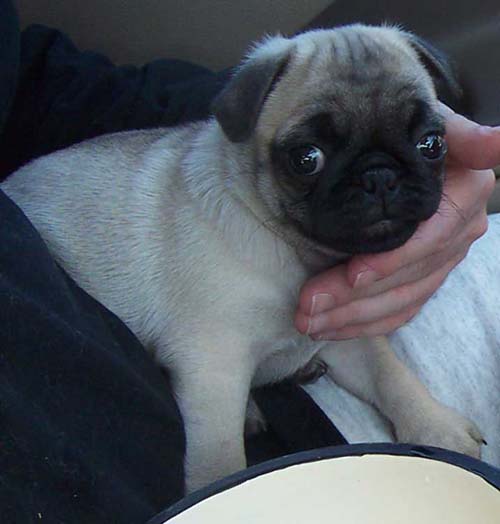 Happy Birthday to ME!!!