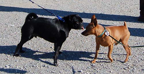 San Francisco Bay Walk of Fun