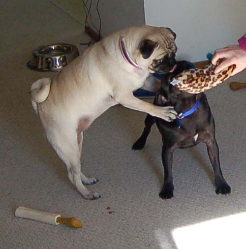 Happy Birthday to ME!!!