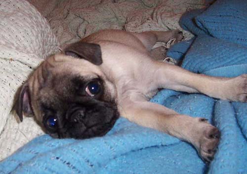 Happy Birthday to ME!!!