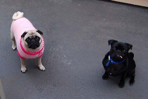 Happy Valentine's Day