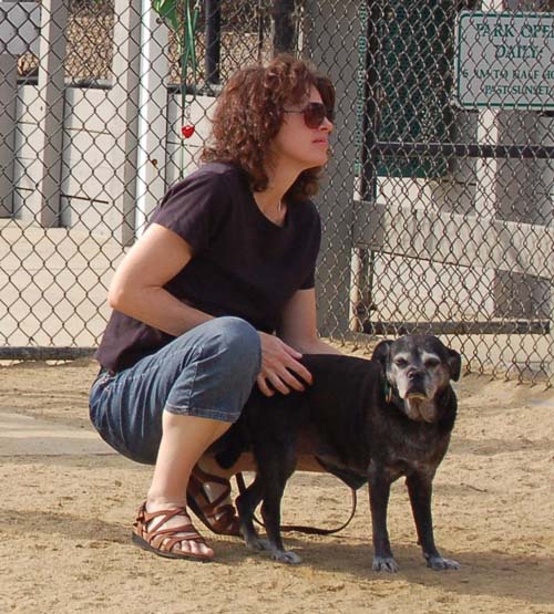 Pugs Pugs Pugs Mountain View Dog Park Fun October 22, 2005