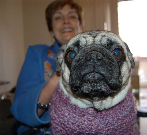 Jim & Nancy and Rio & Sheba