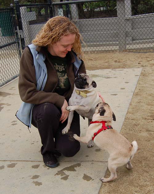 Mountain View Dog Park - February 25, 2007