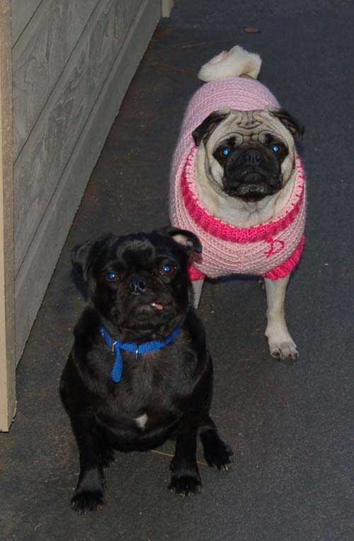 Happy Valentine's Day