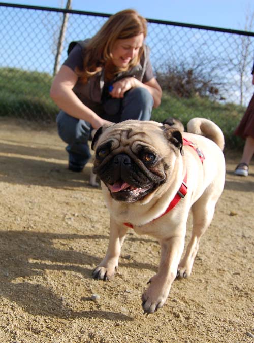 Mountain View Dog Park Sunday Fun - February 18, 2007