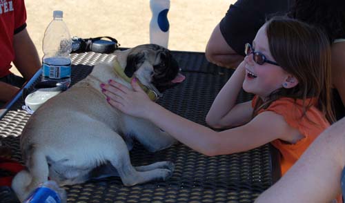 Mountain View Dog Park - March 11, 2007