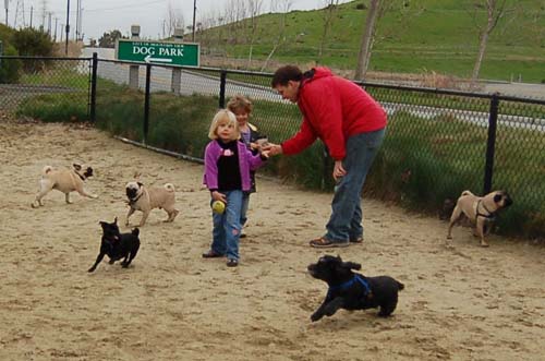 Mountain View Dog Park - February 25, 2007
