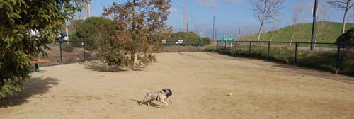 Mountain View Dog Park Sunday Fun - February 18, 2007