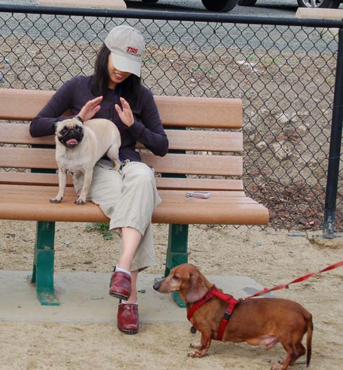 Mountain View Dog Park - March 4, 2007