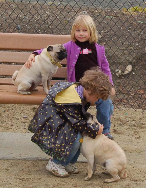 Mountain View Dog Park - February 25, 2007