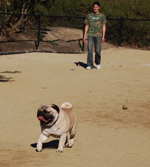 Mountain View Dog Park - March 11, 2007