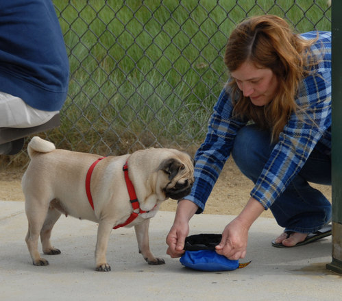 Mountain View Dog Park - April 1, 2007