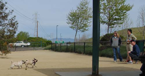 Mountain View Dog Park - April 1, 2007
