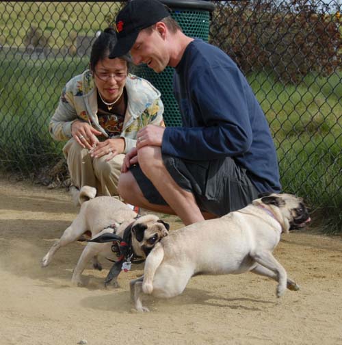 Mountain View Dog Park - April 1, 2007