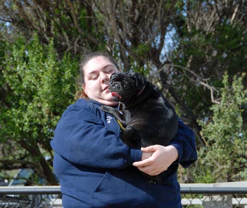 Mountain View Dog Park - March 25, 2007
