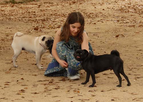 3 years of Sheba in Palo Alto - April 7, 2007