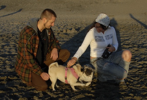 Puppy Play at Ocean Beach