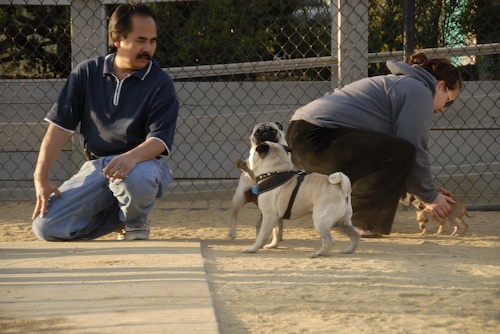 Mountain View Dog Park May 13, 2007