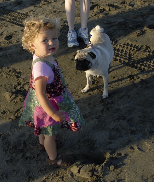 Puppy Play at Ocean Beach