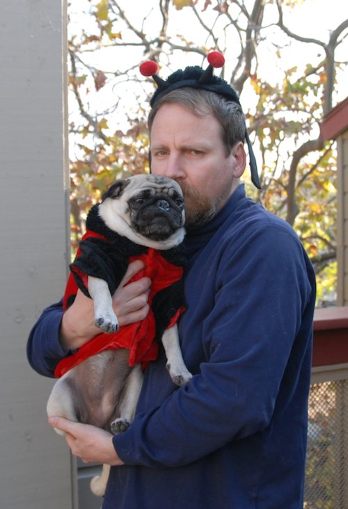 Rio and Sheba Lady Pugs - Happy Halloween - October 31 2007!