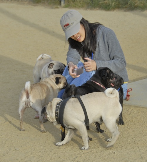 June 3, 2007 Mountain View Dog Park