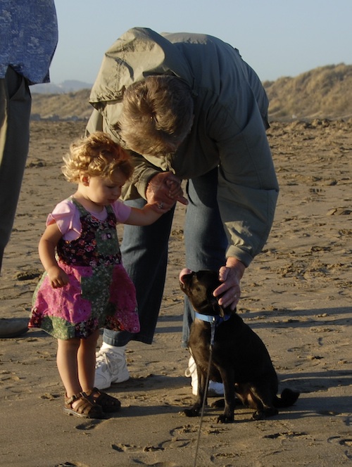 Puppy Play at Ocean Beach
